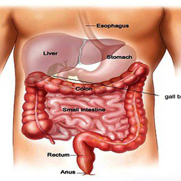 gi-hpb-cancer dr ravi chandra reddy